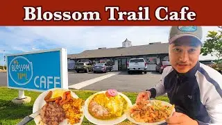 Best of Blossom Trail Cafe | Delicious Food, Cozy Ambiance, & Unforgettable Experience