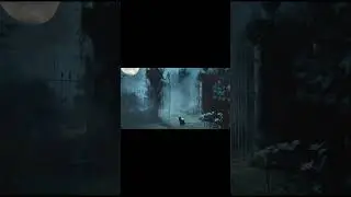 Whiskers The Cat Nighttime Adventure 5 - To Be Continued #cat #catshorts #catlover #catvideos