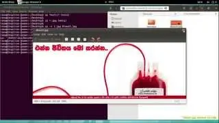 Linux Basics - cp Command (Part 2)