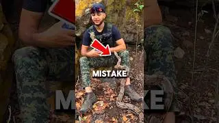 What To Do If A Snake Climbs On You! 😱🐍 #shorts