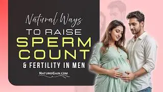 How to Raise Sperm Count: Supplements that Boost Your Fertility Potential
