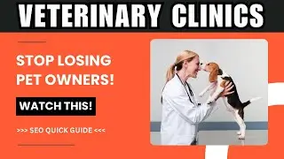 Best SEO Company for Vets 2025 | How To Grow Veterinary Business?