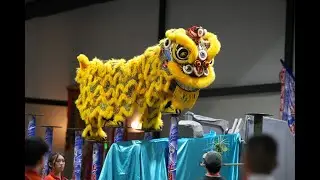Lee's Golden Dragon (8.91) - 2024 USA High Pole Lion Dance Championship