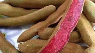 Red Tamarind (imli) crunch #asmr #mukbang #crunch #satisfying @Claybombasmr @Black_sp_lover @YG24
