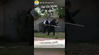 Tai Chi Stick