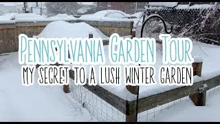 Pennsylvania Garden Tour: My Secret to a Lush Winter Garden! | The Gnar Garden