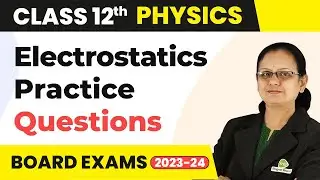 Electrostatics - Practice Questions (Part 2) | Class 12 Physics | CBSE 2024-25