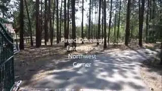 Gated Entry Approach Through the Pine Trees