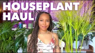 HOUSEPLANT HAUL 🤩🪴💖✨