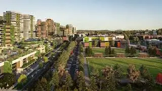 Northshore Hamilton Vision
