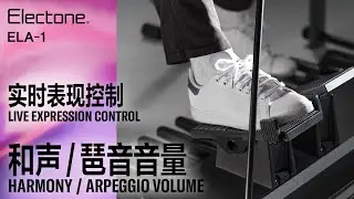 ELA-1|实时表现控制 功能示范:和声/琶音音量 Harmony/Arpeggio Volume - Live Expression Control