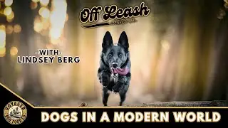 Lindsey Berg; Dogs In a Modern World