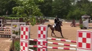 Video of BLOSSOM Z ridden by STEVE SCHAEFER from ShowNet!