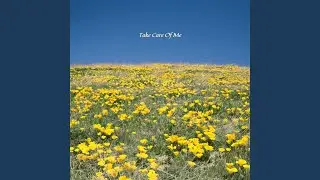 Take Care of Me