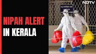 Nipah Alert In 3 Kerala Districts, Containment Zones Announced