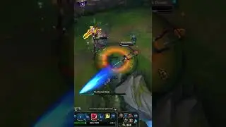 Naayil vs Fiora - Crazy Fight - League of Legends #shorts