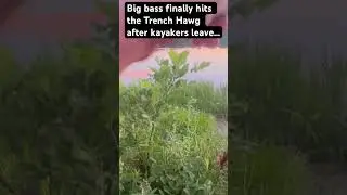 Big bass hits the Trench Hawg #bassfishing #bankingforbass #texasrig #abugarcia #googanbaits