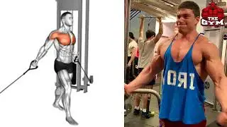 Best chest exercise 💪 #fitness #viral #gym #video #music 