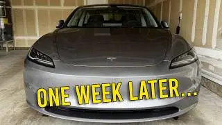 Обзор Tesla Model 3 2025 года: что я люблю (и ненавижу) после недели