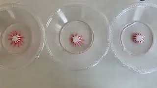 Peppermint Candy in Different Water - 6.2 Thermal Energy Lesson 10 Audio Described