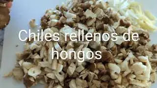 26 de julio de 2024 chiles rellenos de hongos
