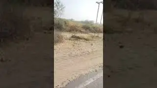 Highlight 6:29 - 11:29 from Nehal's Foodography is live!