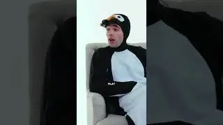 Генеральный директор Penguin