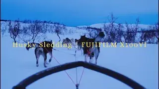 Husky Sledding in Tromso | FUJIFILM X100VI