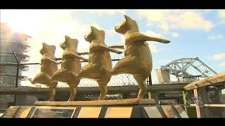 Victoria Bridge Wins CTF's Municipal Teddy