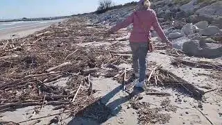 ALgoculture dans le Delta du Saloum