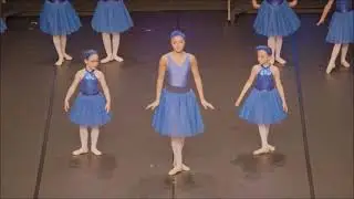 2024 l'audition - chor&eacute;graphies de Am&eacute;lie Guignard et M&eacute;lanie Testu - les oiseaux