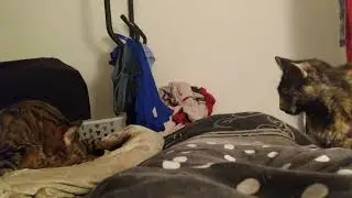 VID 20200119 231514