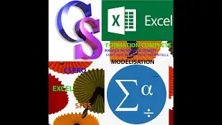 Présentation de la formation en traitement et analyse de données en combinant CSPRO SPSS et Excel