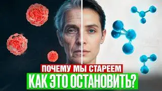 Почему мы стареем / Как это остановить
