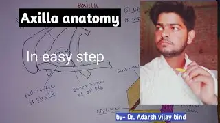 Axilla anatomy |boundary| walls| content| thv| By- Adarsh vijay bind