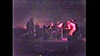 Certified Blues Band