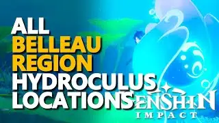 All Belleau Region Hydroculus Genshin Impact
