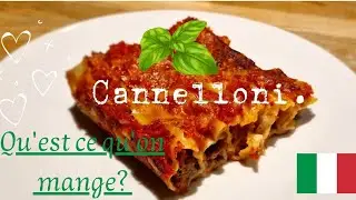 Cannelloni à la viande❤️! recette super rapide