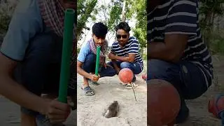 Viral rat trap video #foryou #youtubeshorts #funny #reels #viralvideo #viralreels