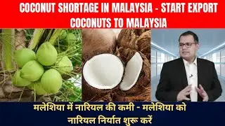 MALAYSIA LOOKING FOR IMPORT COCONUTS | INDIA EXPORTS COCONUTS #export #india #coconut #import