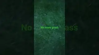 nope not having any more grass #grass #funny #anotherbrickinthewall #scary #ihavethisthingwithplants