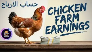 حساب نسبة الارباح في مزرعة نيويوولك (New Yolk) والنتيجة صادمة!