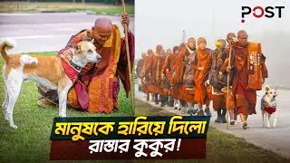 কলকাতার রাস্তার কুকুর যখন শান্তির দূত! | the POST