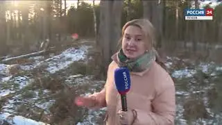 Специальный диплом конкурса. &laquo;Лесорубы&raquo;. Фильм Алины Чабан (ГТРК &laquo;Псков&raquo;)