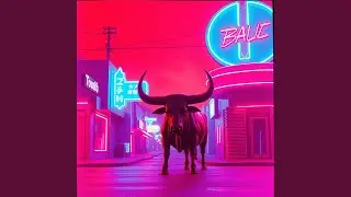 Corrida da Madrugada