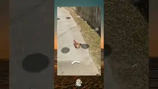 #funny #memes the chicken slippen