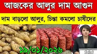 আজকের আলুর বাজার মূল্য/india potato news West bangal/Potato price today west bengal