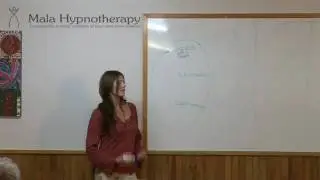 P2. Rules of the mind