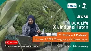 BCA Life Tanam 1.999 Mangrove Untuk CSR Penghijauan di Kota Semarang