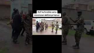 MOST ENTERTAINING KDF DANCE.